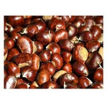 Fresh Organic Chesnut Mesh Hnab